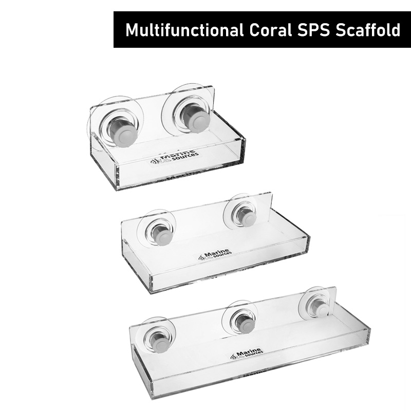 Marine Coral - Andamio SPS de coral multifuncional de