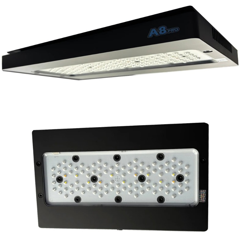 Luces LED para Arrecifes de Co - Reef Lighting reseña y precio