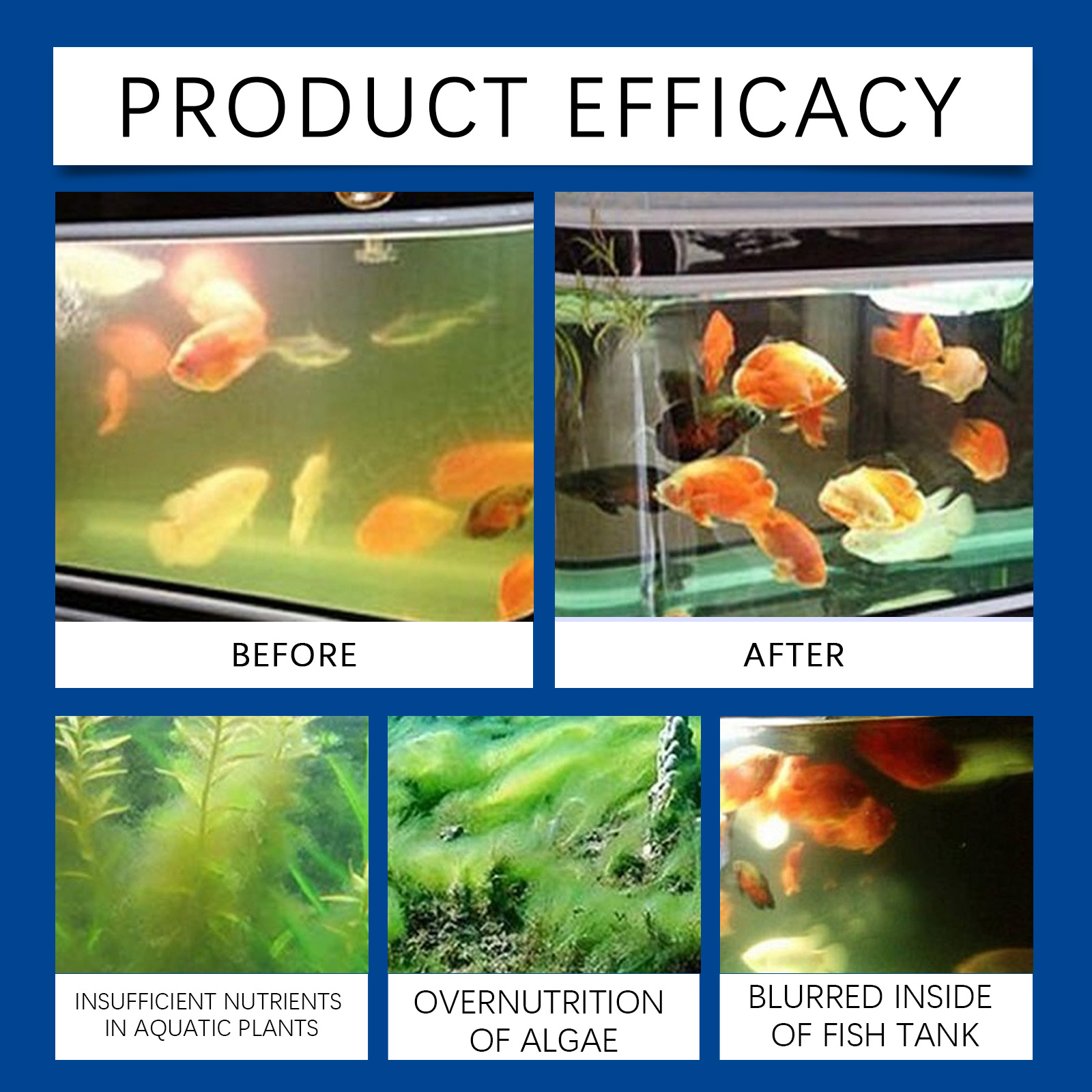 Clarificador de agua para acua - Saltwater Tank reseña y precio