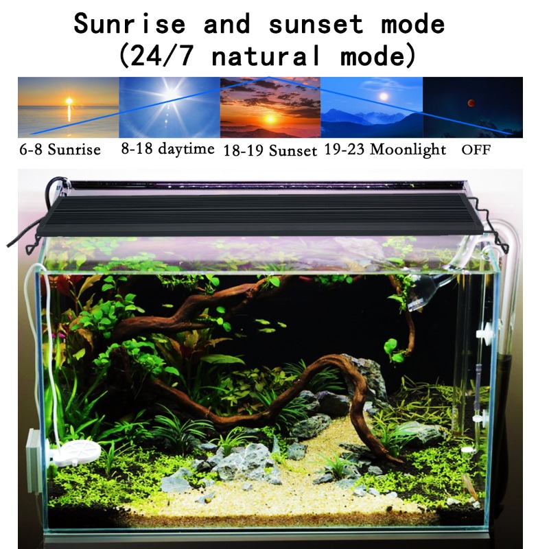 Lámpara LED para Acuario de Es - Reef Lighting reseña y precio