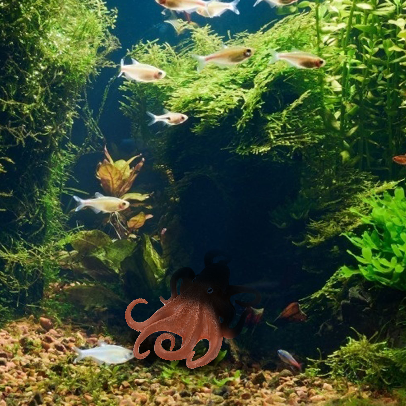Figura realista de pulpo, mode - Marine Aquarium reseña y precio